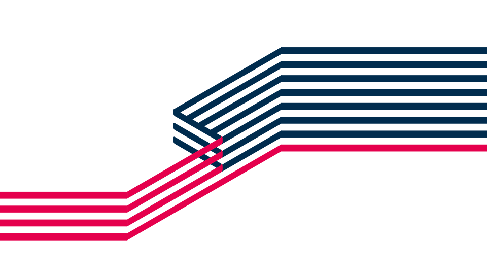 Dansk Pilot Uddannelse - Visuel Identitet - Grafik